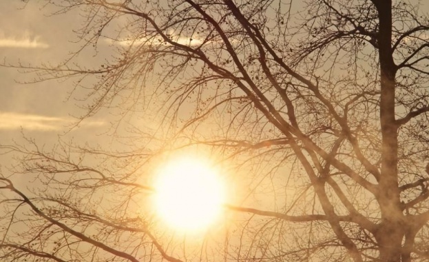 Температурите в първите дни на януари достигнаха исторически връх в