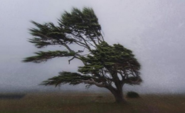 През нощта ще бъде предимно ясно а утре предимно слънчево