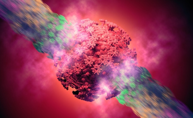 4 са новите случаи на коронавирус у нас за последното