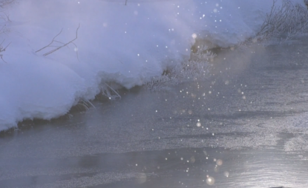 Интересен феномен се наблюдава в централната японска префектура Гифу в