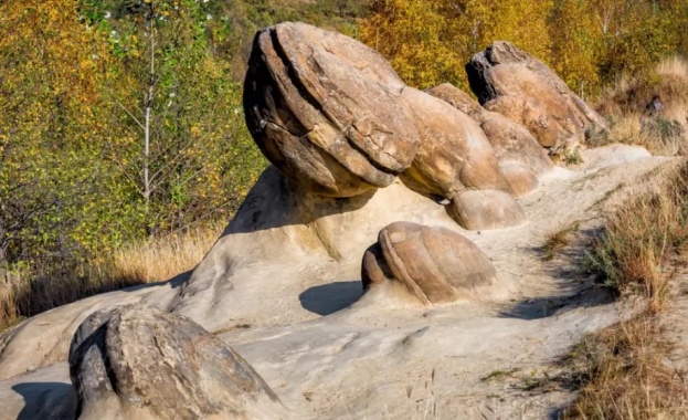 "Живите камъни" в Румъния "раждат" нови и растат с 5 см на всеки 1000 години 