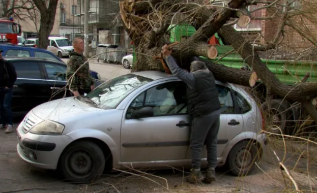Силна буря нанесе материални щети във Враца Мощните пориви на вятъра