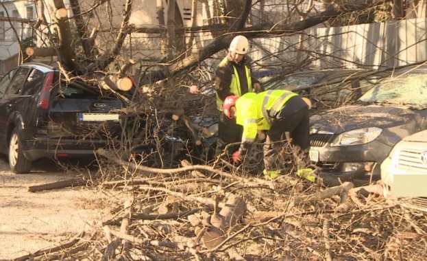 В столицата заради силния вятър падна част от изолацията на