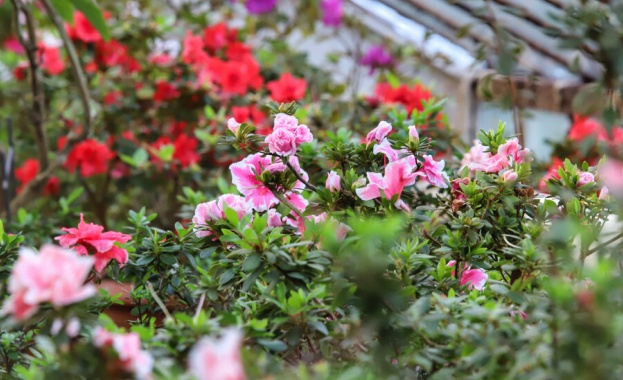 Поради нанесени щети от ураганния вятър Ботаническата градина в София