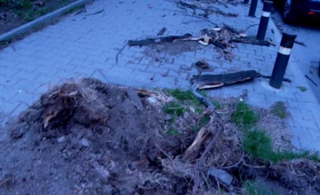 Материални щети от ураганния вятър в Стара Загора Силните пориви