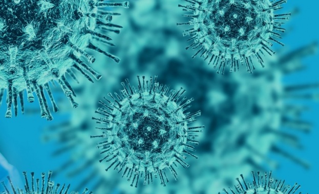 166 са регистрираните нови случаи на коронавирус потвърдени при направени