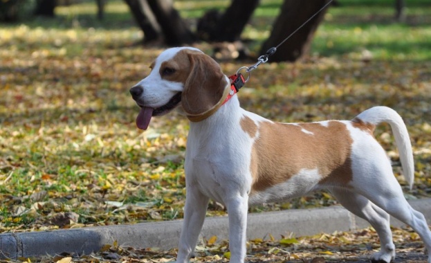 Над 100 общински институции се включват в инициативата на Столична