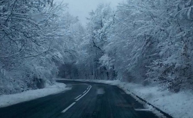 Сняг валя тази нощ на прохода Петрохан Пътищата са чисти Снежна