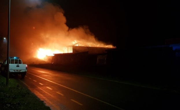 Пожар изпепели заведение на плажа в Бургас
