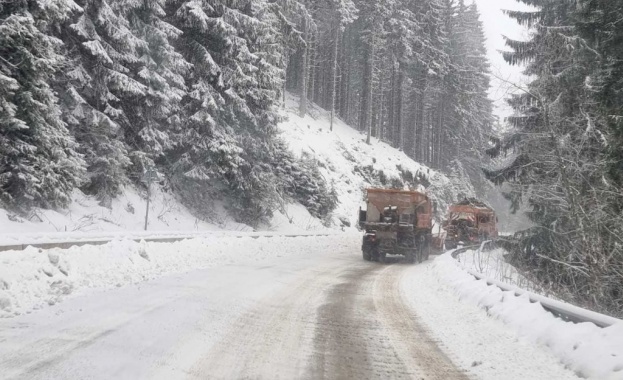 Снеговалежите от вчера и тази нощ ограничиха движението на тежки