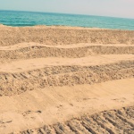 МТ ще провери случая с дюните на южния плаж в Несебър