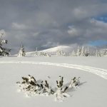 Снежното царство на Белмекен