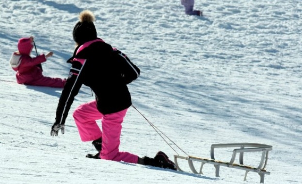 Зоната за спускане с шейни до хижа Алеко на Витоша