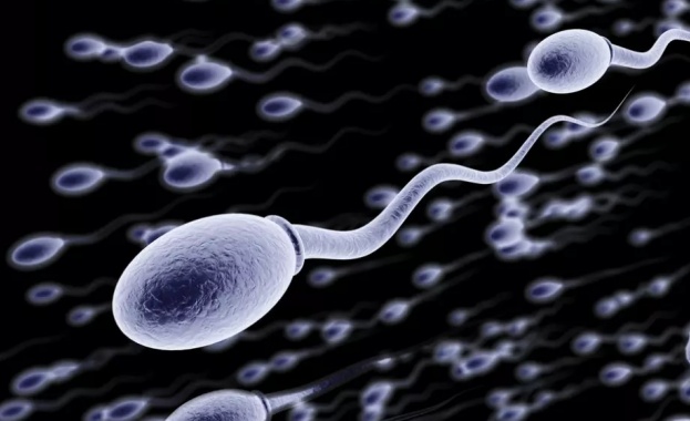 Между 80 и 100 милиона сперматозоиди се борят за женската