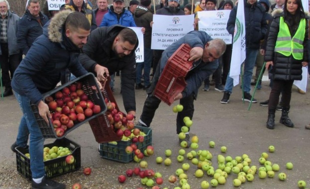 Земеделски производители протестираха вчера на Дунав мост 1 при Русе В