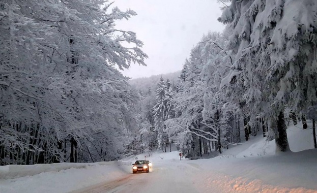 550 снегорина почистват пътните настилки в районите със снеговалеж за
