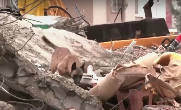 Още в първите часове след земетресението планински спасители от спасителната