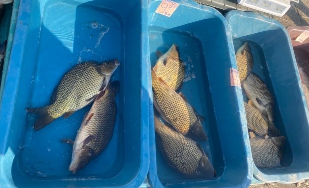 При извършена рутинна проверка на общински пазар в град Мездра