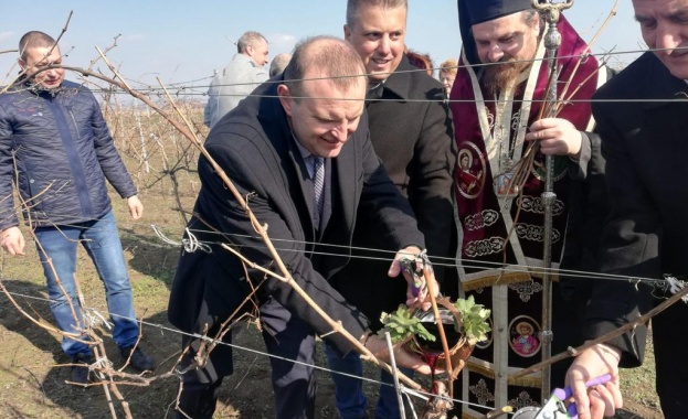 Зам.-министър Джиков: Държавата ще успее в обозримо бъдеще да върне българското вино на световните пазари