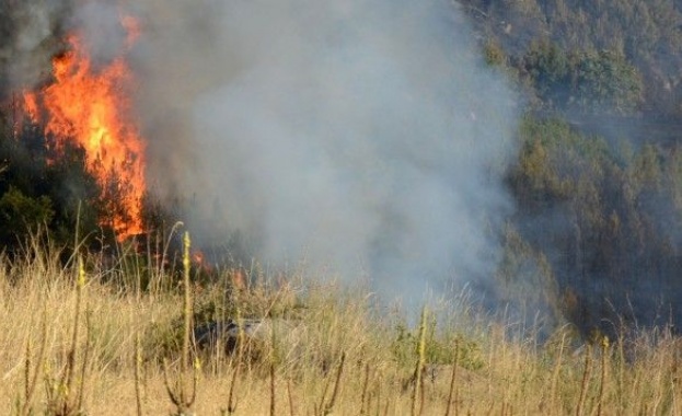 84 годишна жена е с изгаряния по тялото след опит да