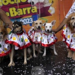 Кучета в костюми дефилираха в Рио де Жанейро паралелно на карнавала