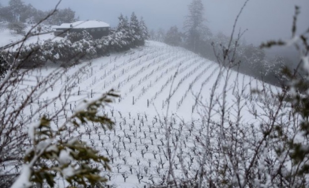 Трима души са загинали вследствие на лошото време в Съединените