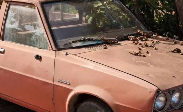 Ще доведе ли забраната за стари коли в София до разчистване на изоставените и непотребни МПС-та в центъра на столицата