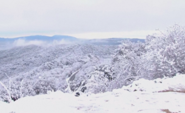Испанският град Барселона е покрит със снежна пелена Бурята Жулиет