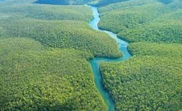 Обезлесяването води до намаляване на валежите в големи части в