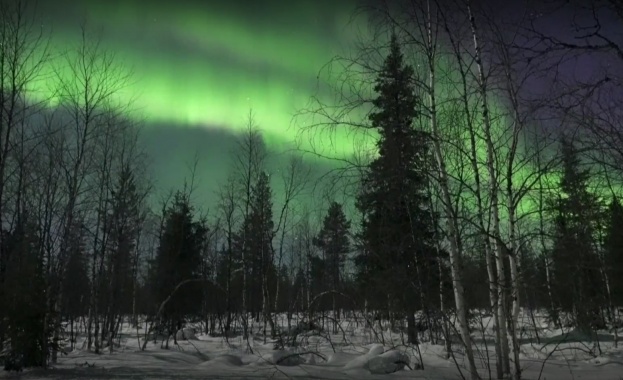 Ярко северно сияние озари Лапландия оцветявайки небето в зелено розово