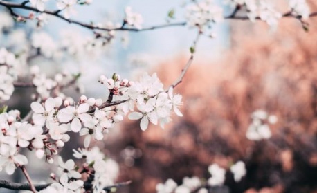 Утре - предимно слънчево