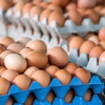 Няма да има поскъпване на яйцата преди Великден, уверяват от Съюза на птицевъдите