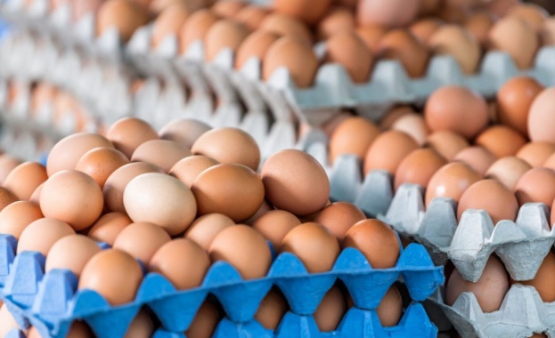 БАБХ: Яйцата внесени в България от Украйна се контролират, взети са проби за анализ
