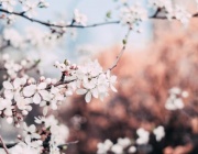 Утре - предимно слънчево