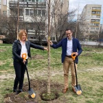 Kaufland България засади 17 дървета за 17-тия си рожден ден