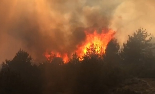 Огромен пожар бушува в Пазарджишко между градовете Ветрен и