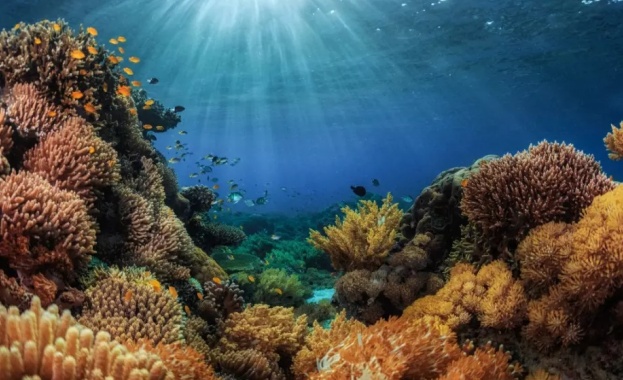 Нашата планета е океански свят а ние сме водни хора