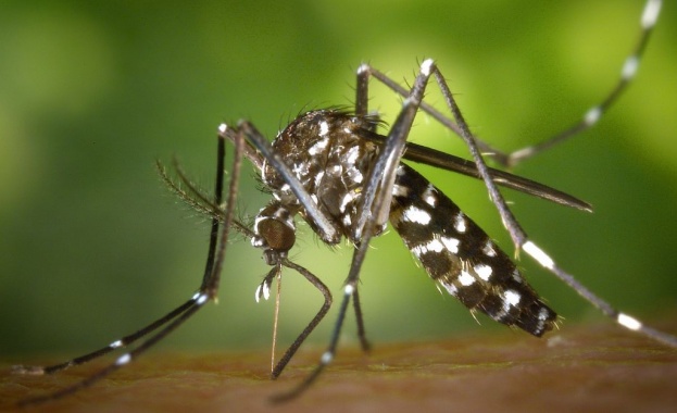 Министерството на здравеопазването на Гърция публикува съобщение с което насочва