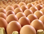Изследване на БАБХ: Украинските яйца са безопасни