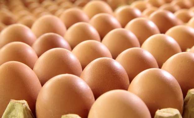 Сериозен ръст в цената на дребно на яйцата само за