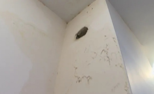 Точно преди две седмици ви показахме случай на междусъседски тормоз