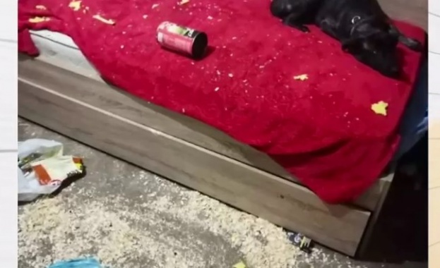 Боклук ужасна миризма и постоянен шум По този начин вече