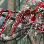 Пролетта настъпва 36 минути преди полунощ