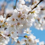 Отново е пролет...