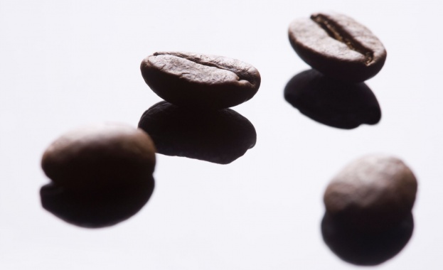 Съвети как да станете експерт по кафеените зърна