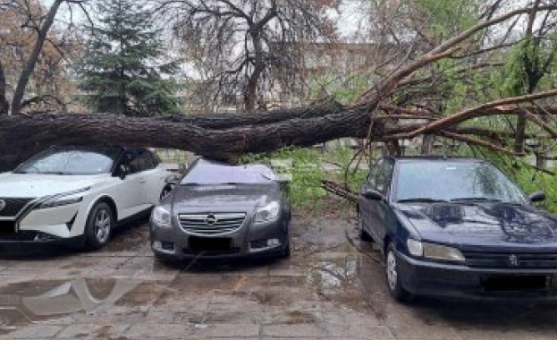 В Пловдив предстои да опишат щетите след бурята, която вилня