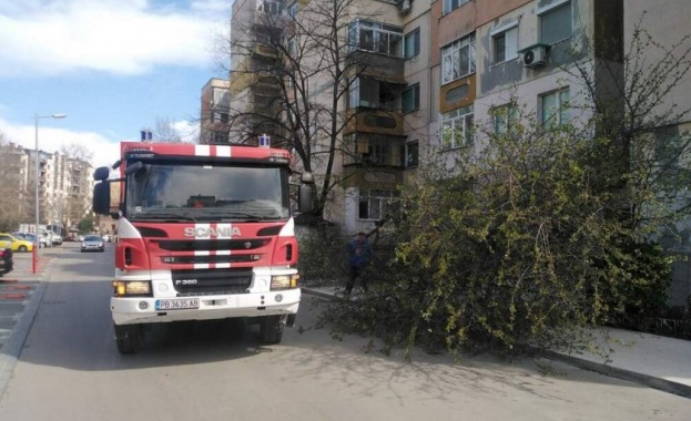 През последното денонощие екипите на Регионална дирекция Пожарна безопасност и