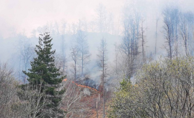 Пожар в горски масив между Стрелча и Копривщица видя зрител