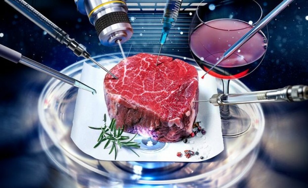 Дебатът около синтетичното месо или т нар месо от епруветка