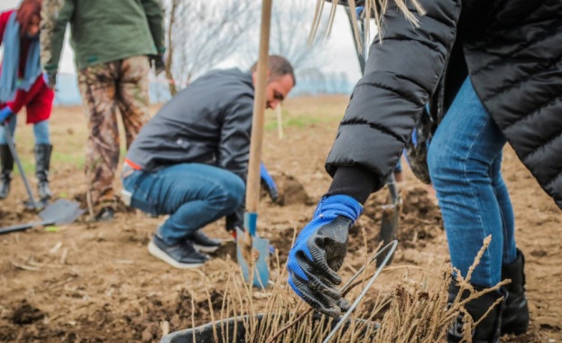 Доброволци засадиха 2600 фиданки от инициативата „Новата гора на София" край село Негован